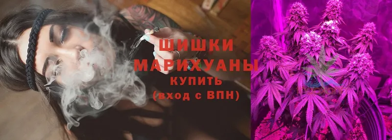 Шишки марихуана Ganja  цена   Мураши 